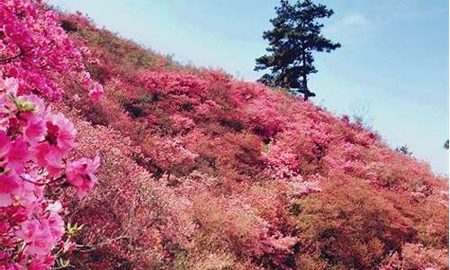 木兰云雾山风景区_木兰云雾山风景区官网