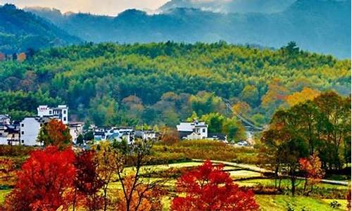 塔川旅游攻略_塔川旅游攻略一日游