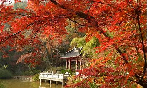 南京栖霞山简介_南京栖霞山简介写栖霞山的