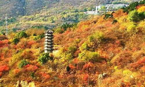 北京西山森林公园景点简介_北京西山森林公