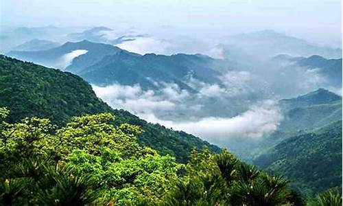 西天目山景区_西天目山景区介绍