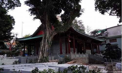 广州海幢寺_广州海幢寺简介