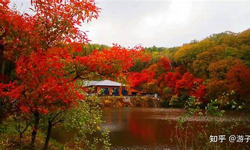 蛟河红叶谷风景区_蛟河红叶谷风景区电话