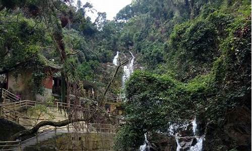 鼎湖山旅游攻略_鼎湖山旅游攻略一日游最佳路线